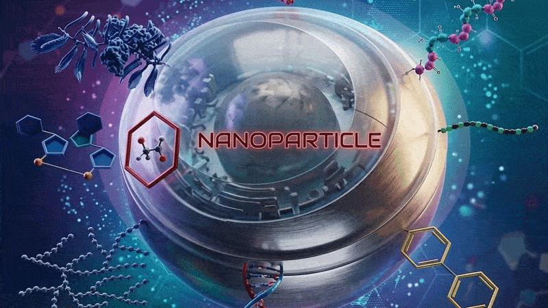 RNP-Loaded Porous Silica Nanoparticle Cross-Section