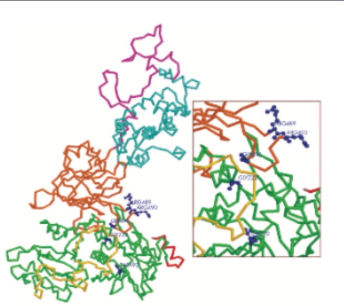 Prime Editing DNA