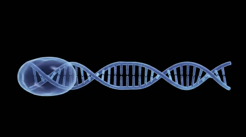Vaxx Research Animated Logo